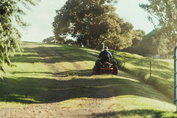Lawn Mowing
